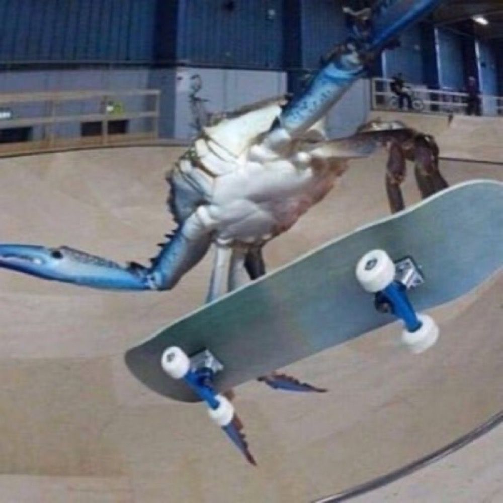 sick crab
