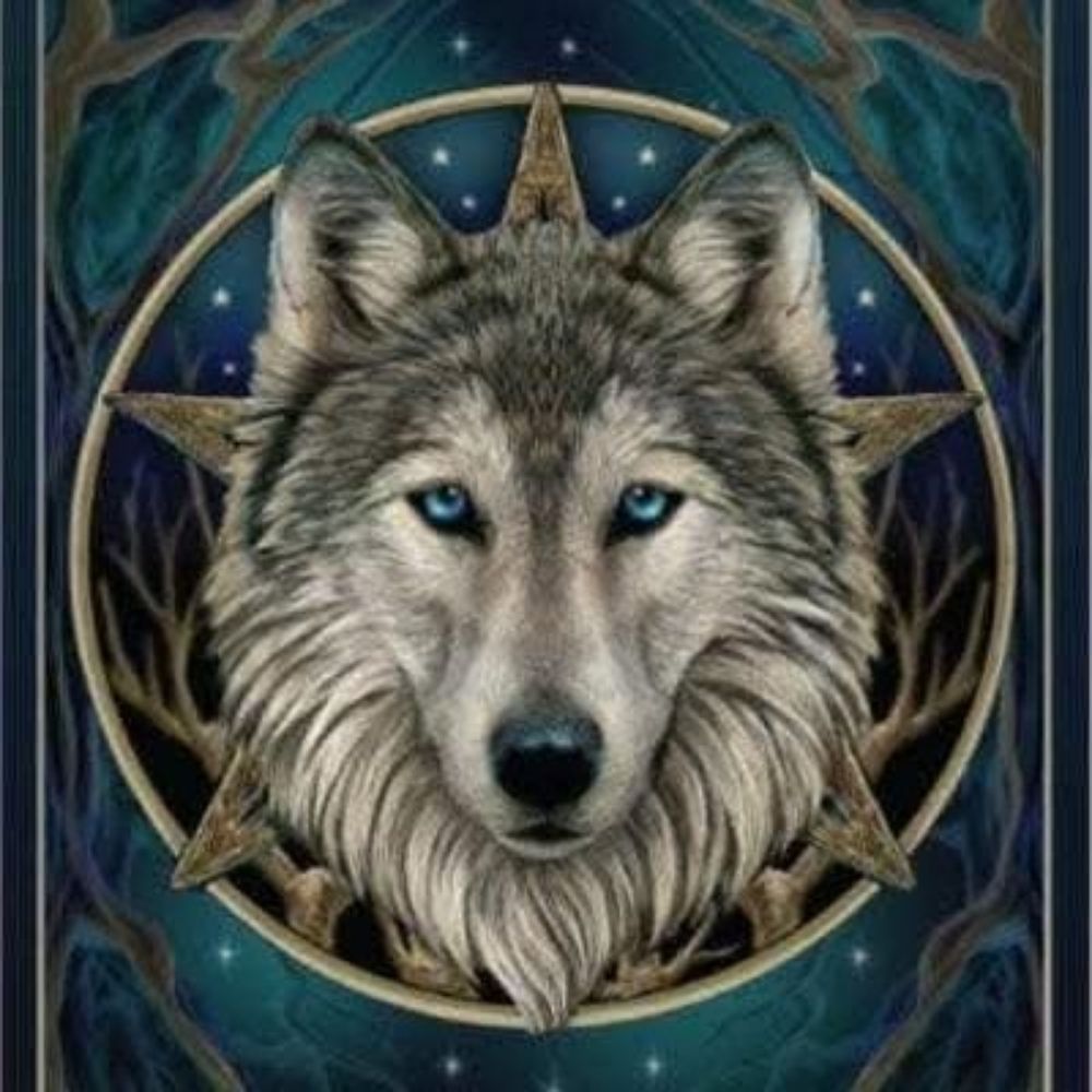 🐺 Autumn Raine backup account 🐺🖤🩶🤍💜
