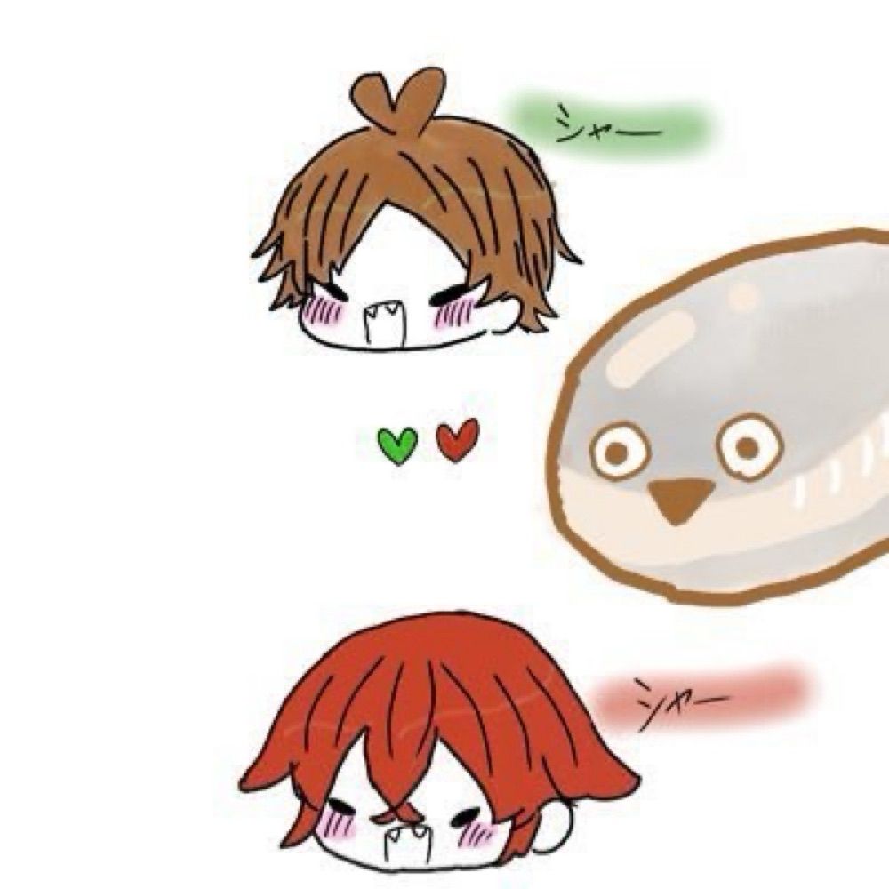アユカ@坂田家こたぬき💚❤️