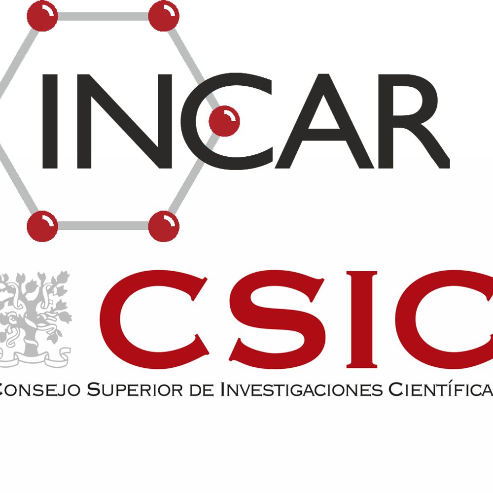 INSTITUTO DE CIENCIA Y TECNOLOGÍA DEL CARBONO