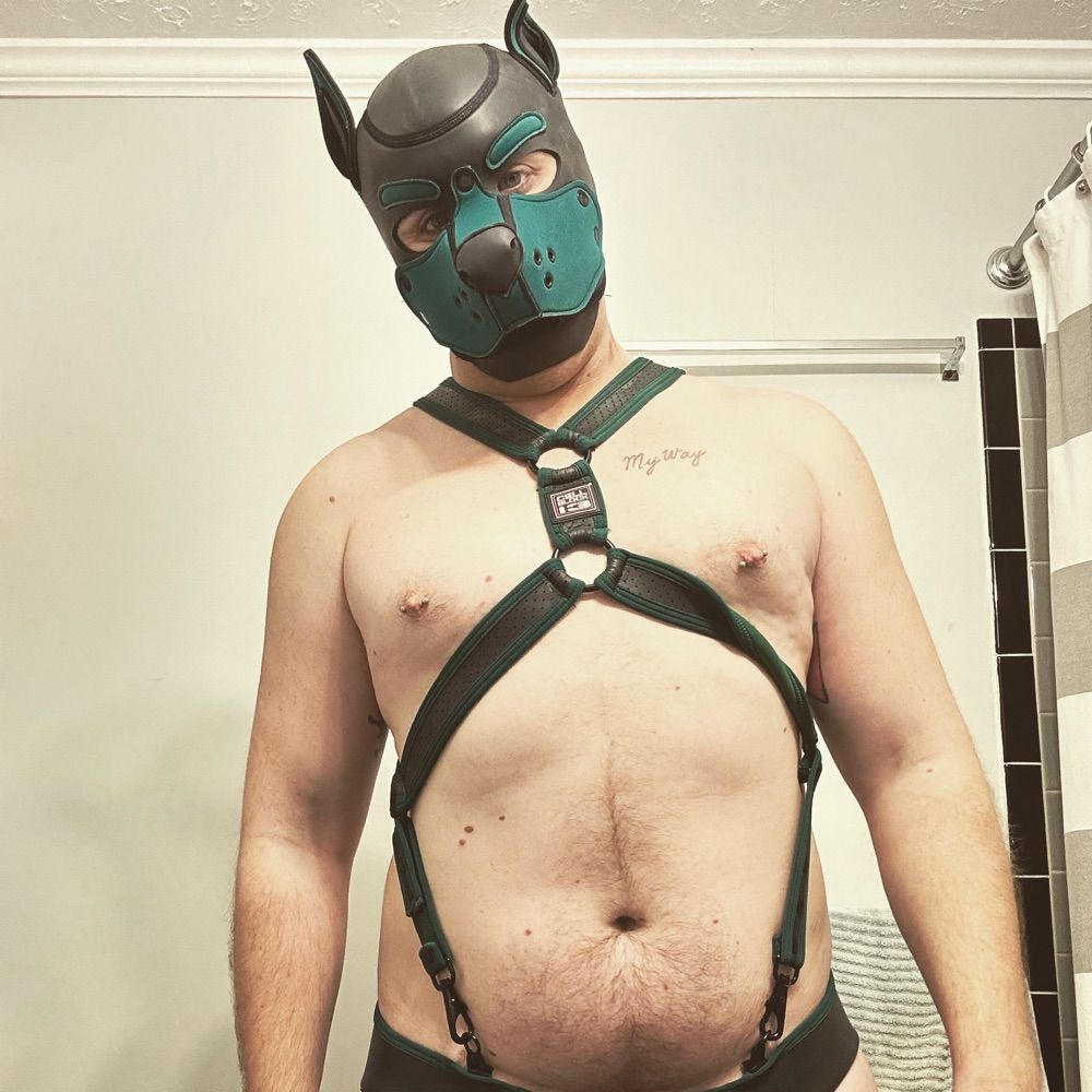 Omega Pup Herc
