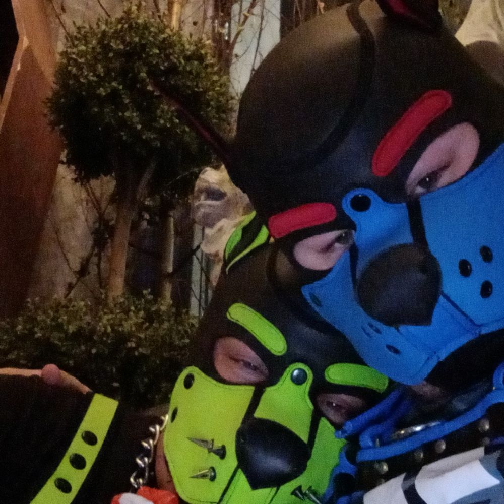 Handler daddy star foxy