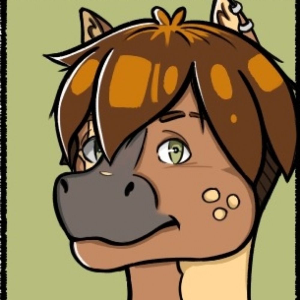 R0r1 (Comissions open 0/5)