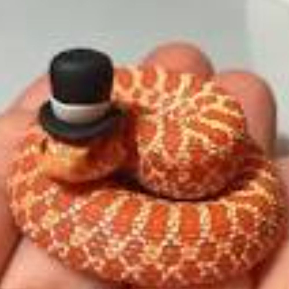 Fluffy_Snek