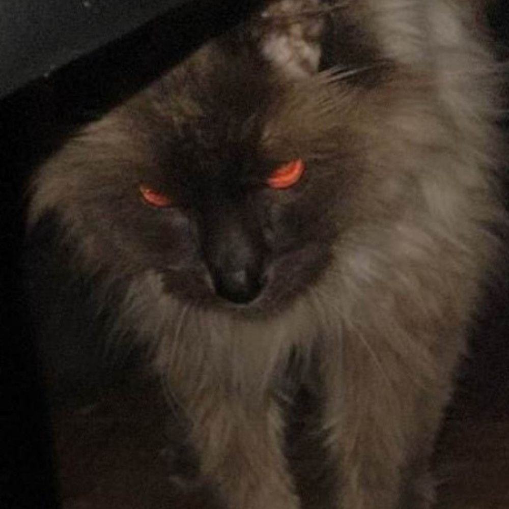 Sami (=^w^=)