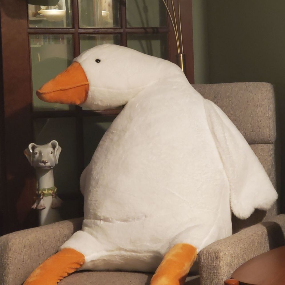 Matthew-Donald