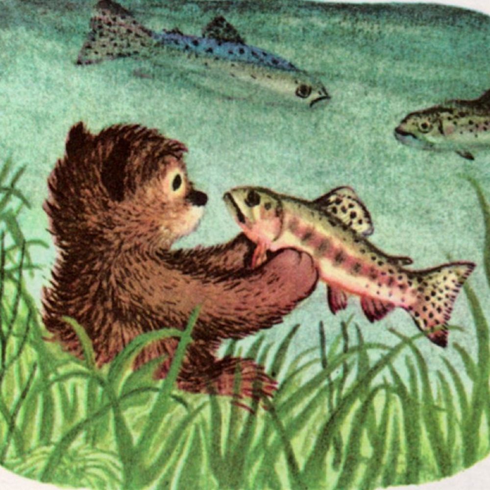 bear