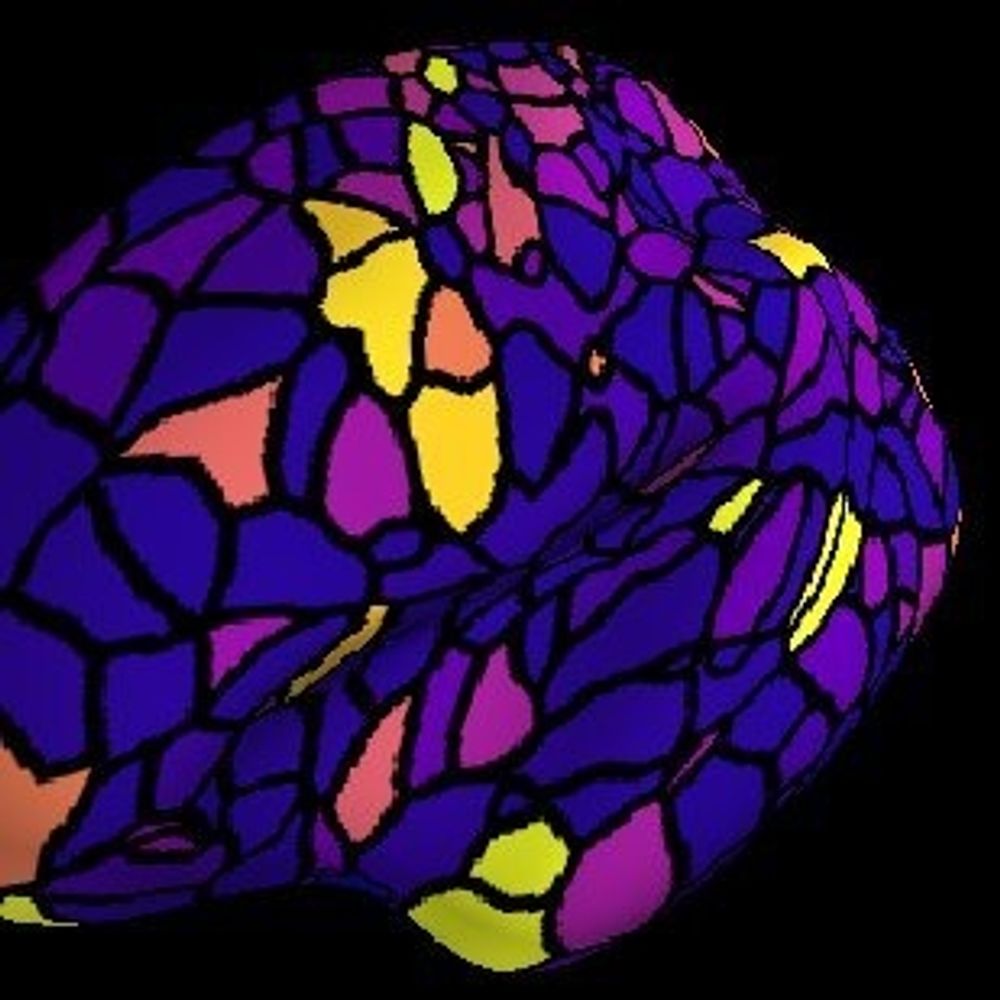 Gareth Ball