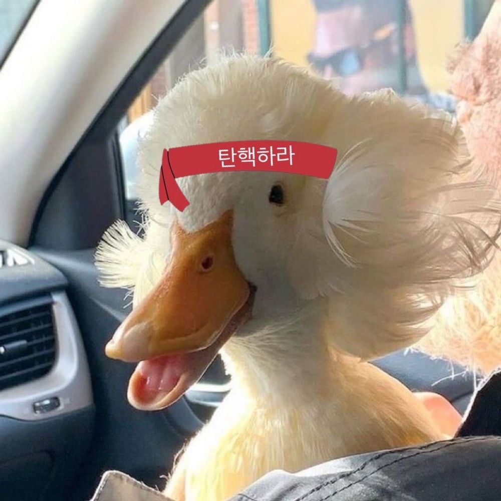 찾