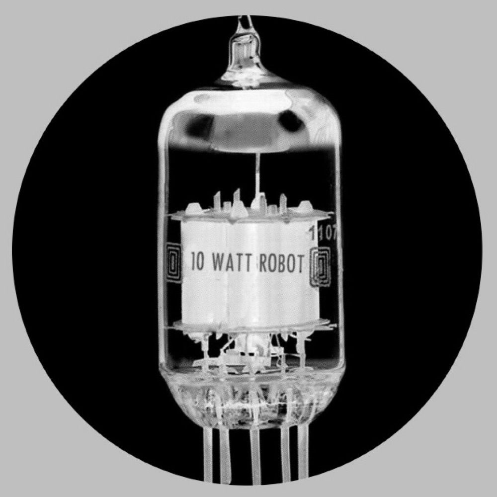 10 Watt Robot
