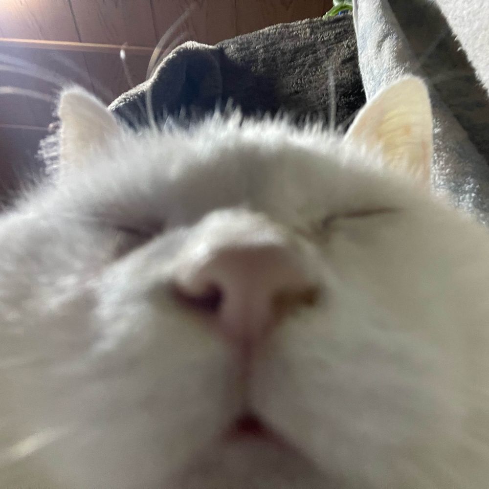 秋月
