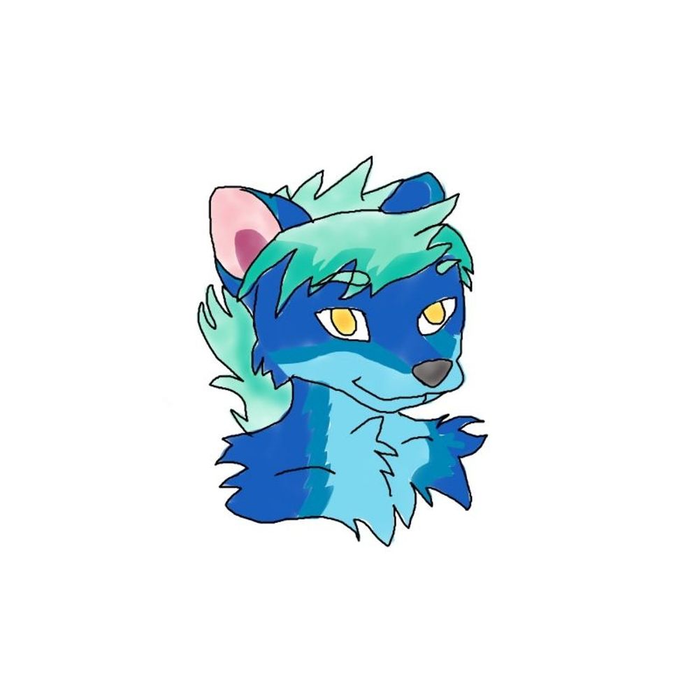 Zev