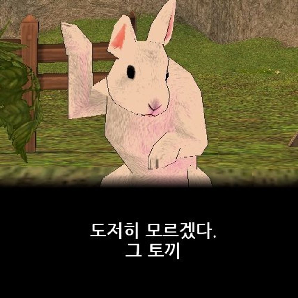 미부쨩