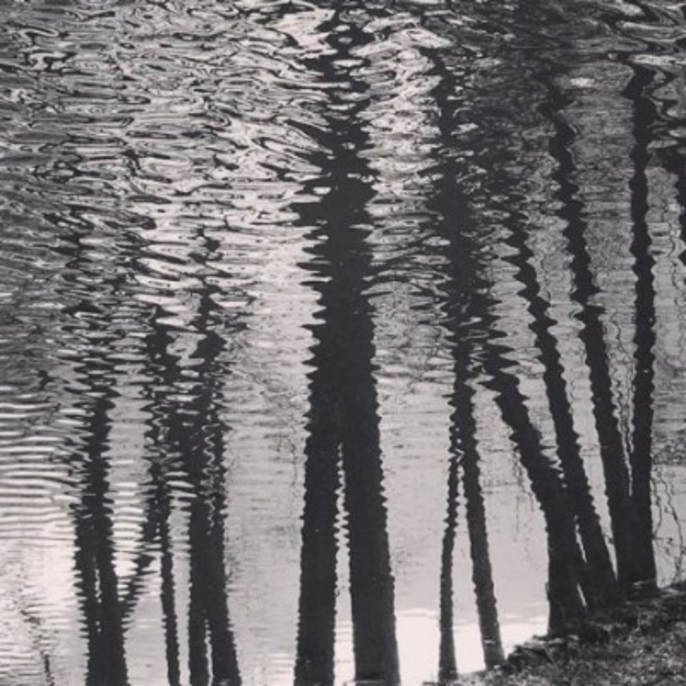 Adrian Price-Whelan