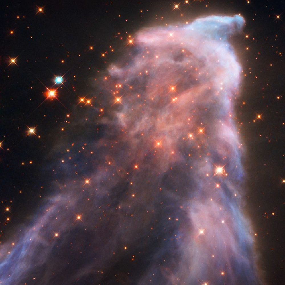 Constellation AI