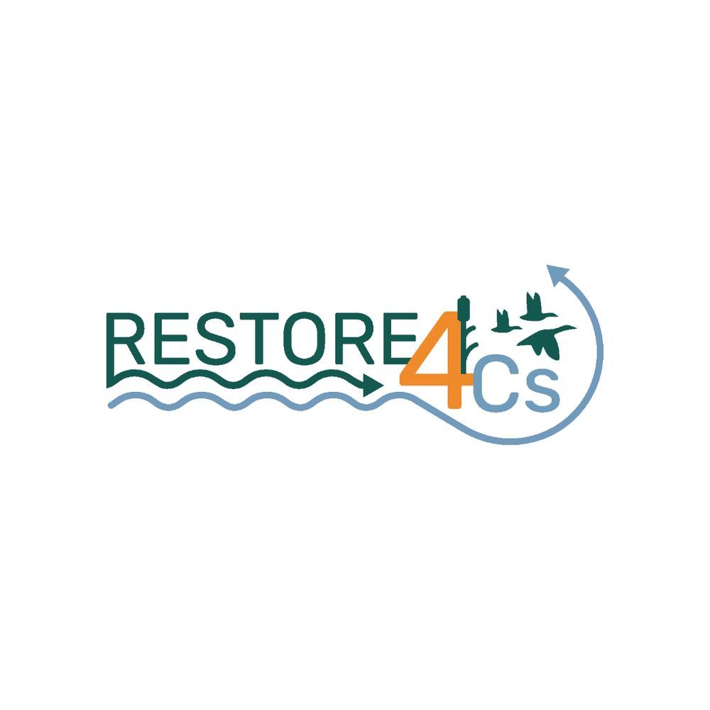RESTORE4Cs