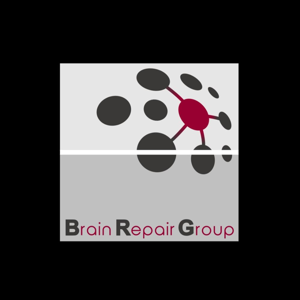 Brain Repair Group