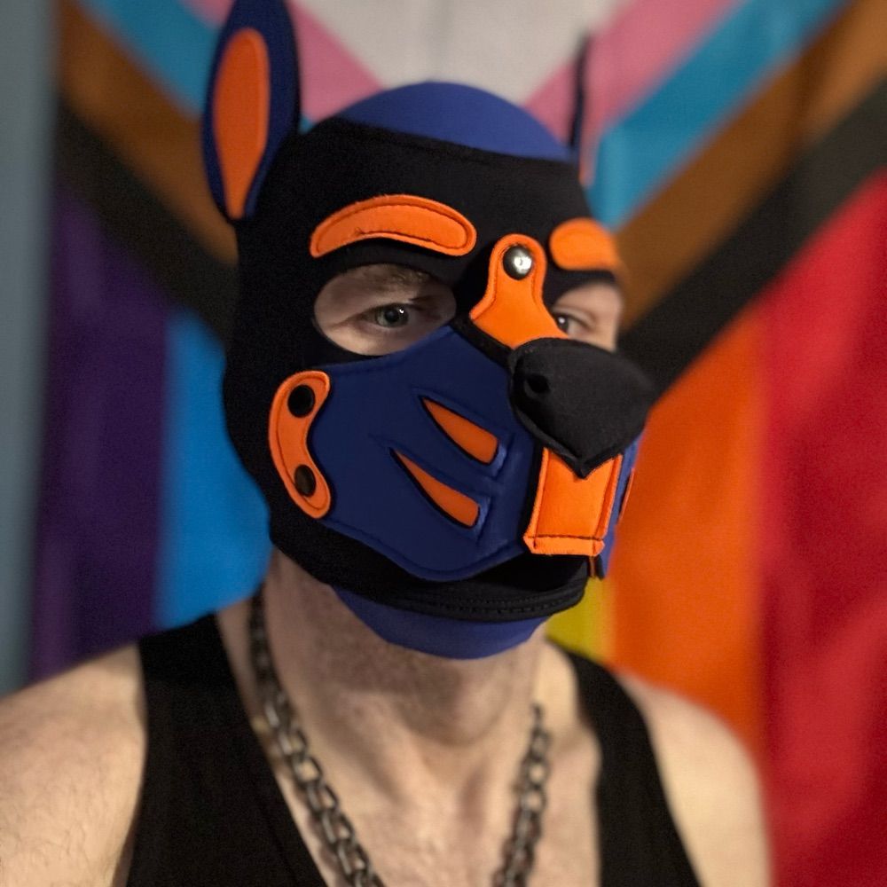Pup Zepp