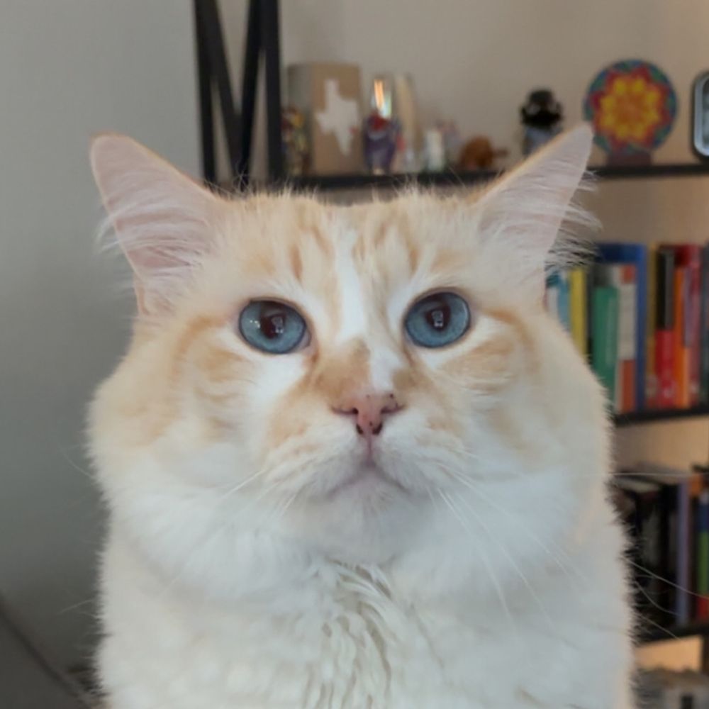 travissmith.site profile picture