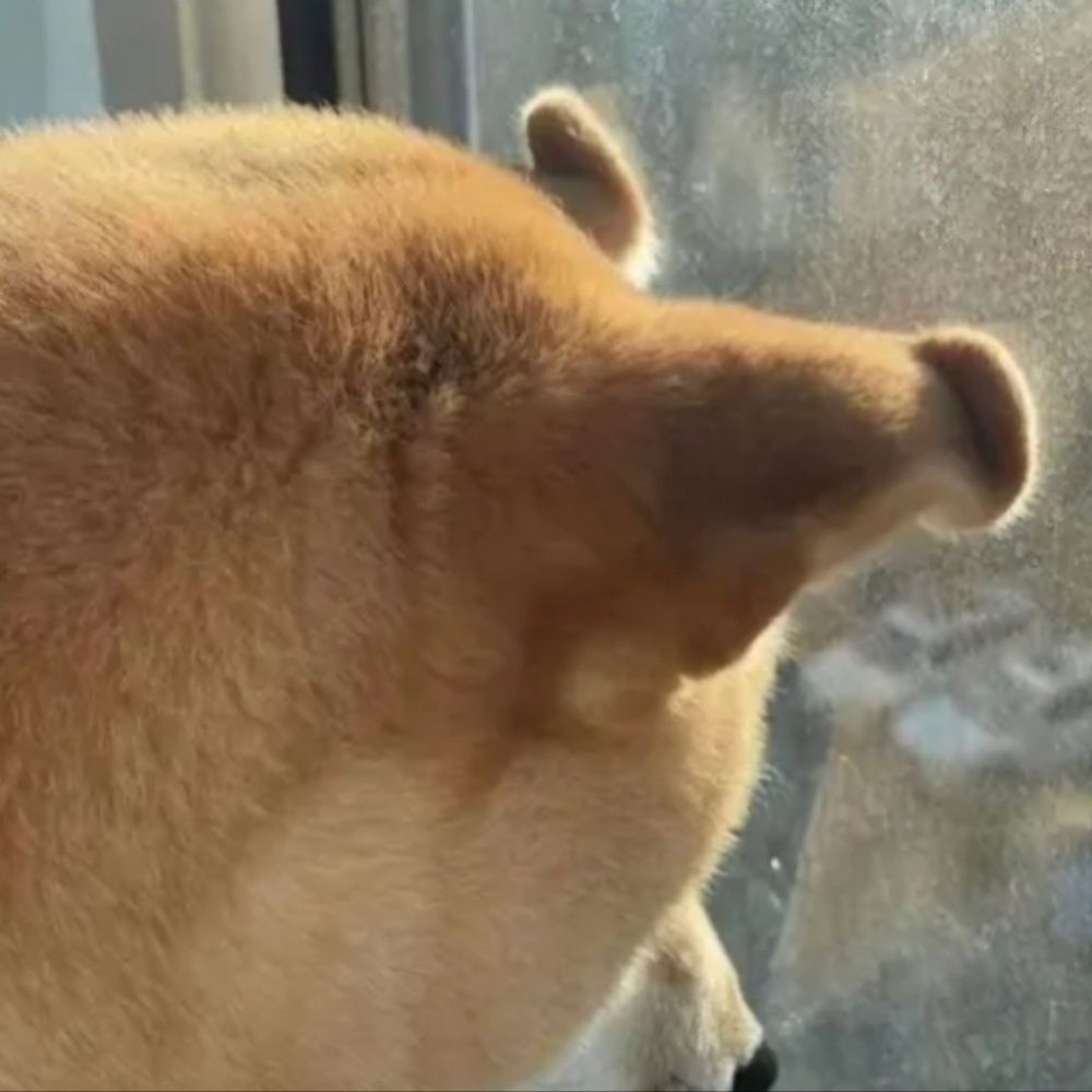 토리