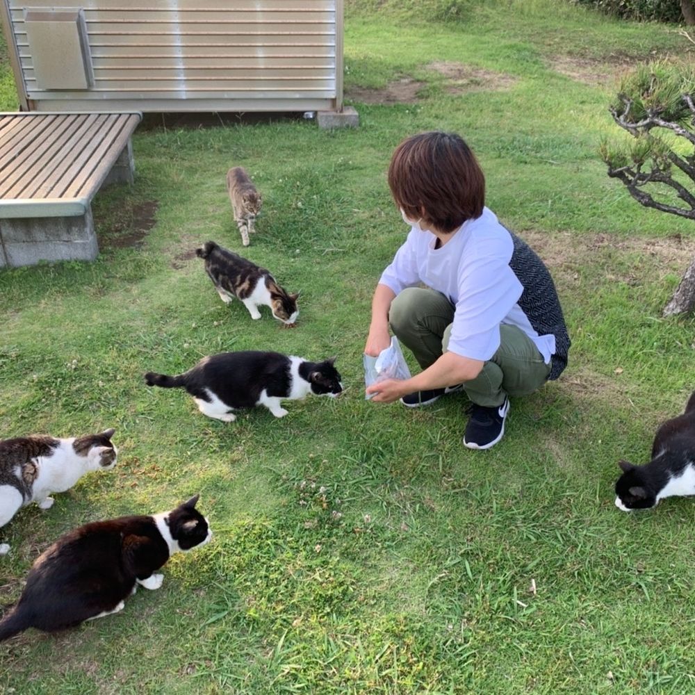 けーだい