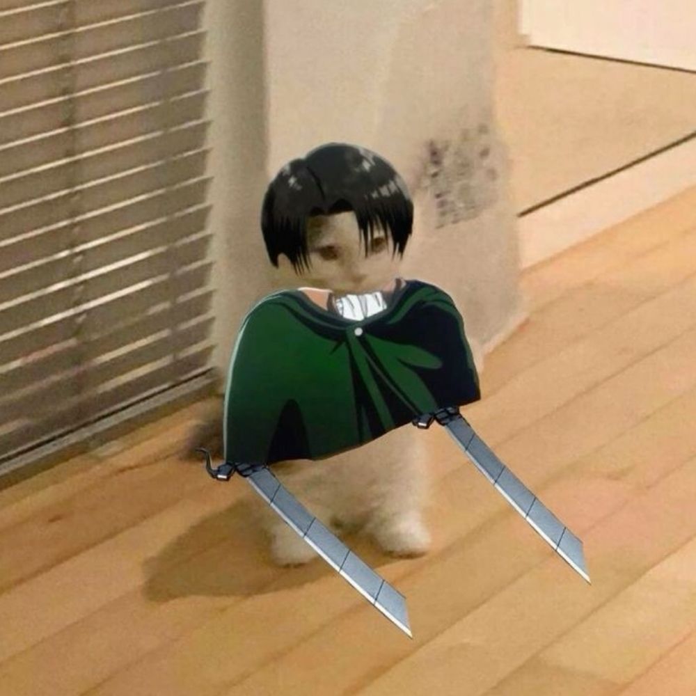 Ryo