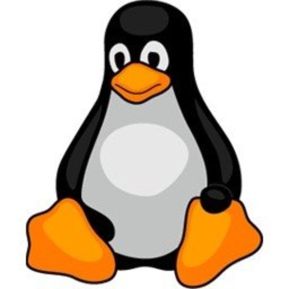 Free and open source software
