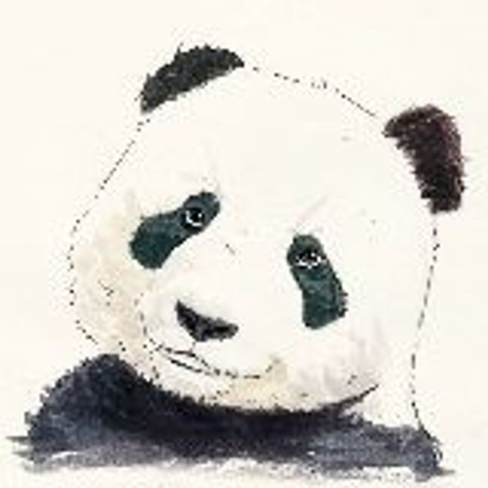 Shawn Yan