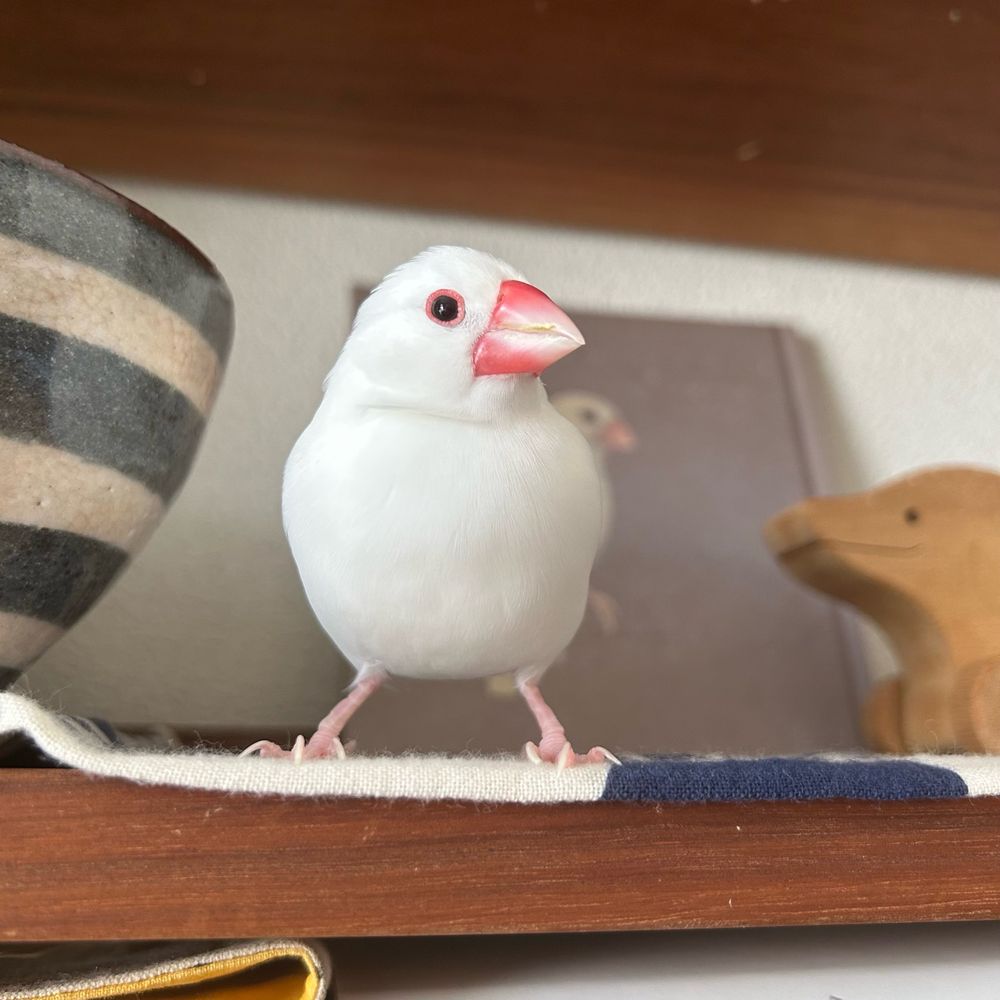 あなご