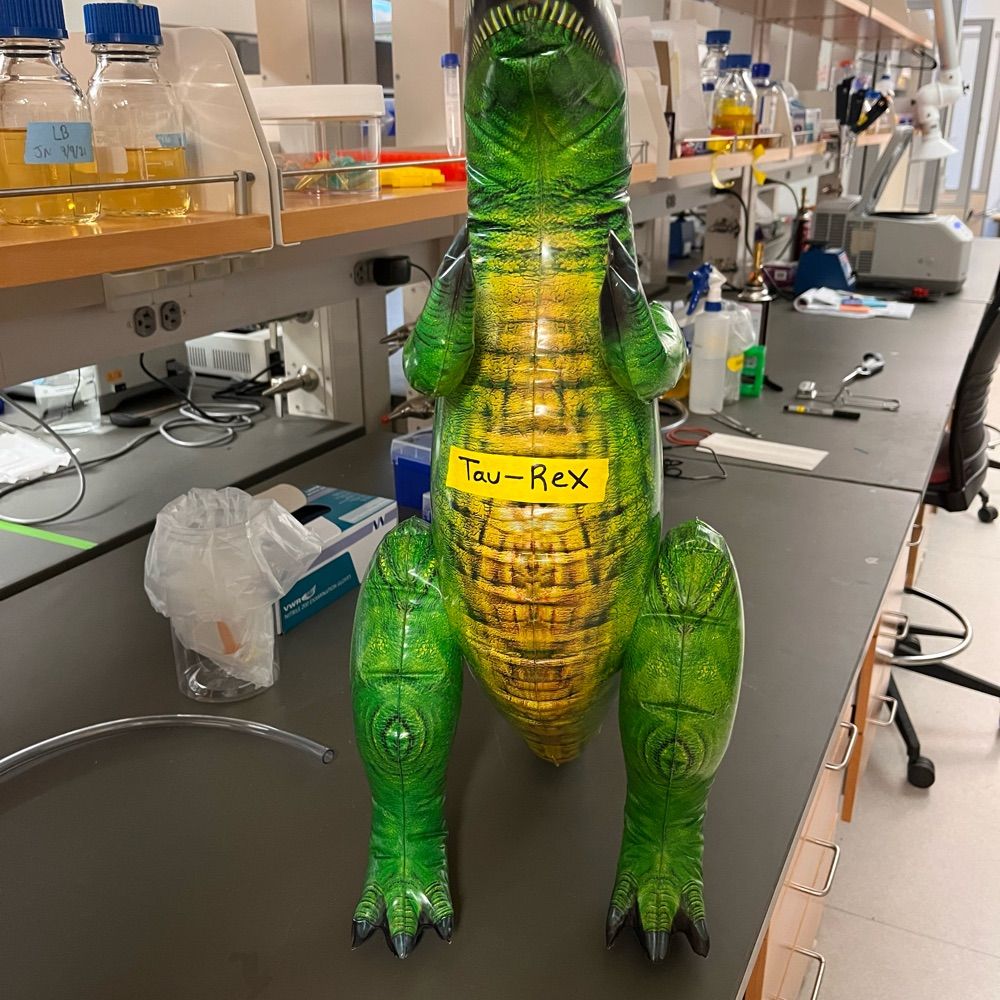 Rauch Lab