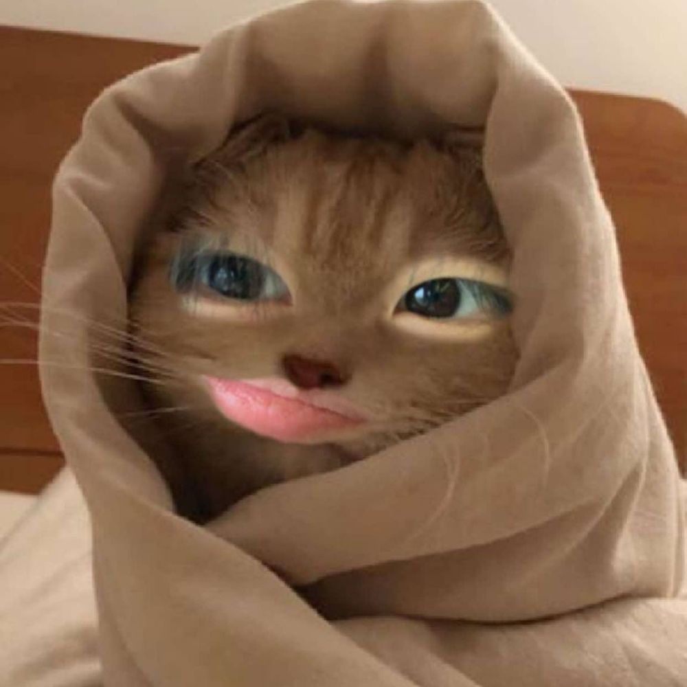 暮光✨