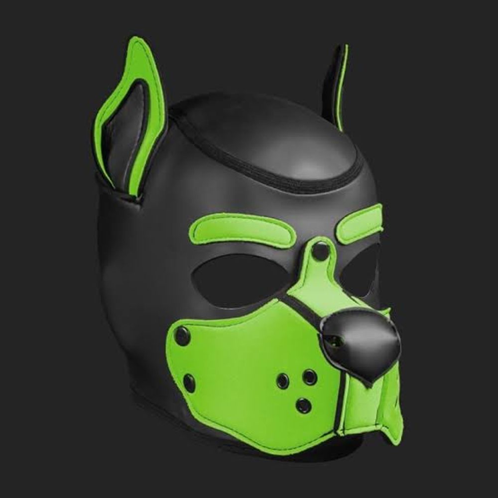 Pup-Axle 