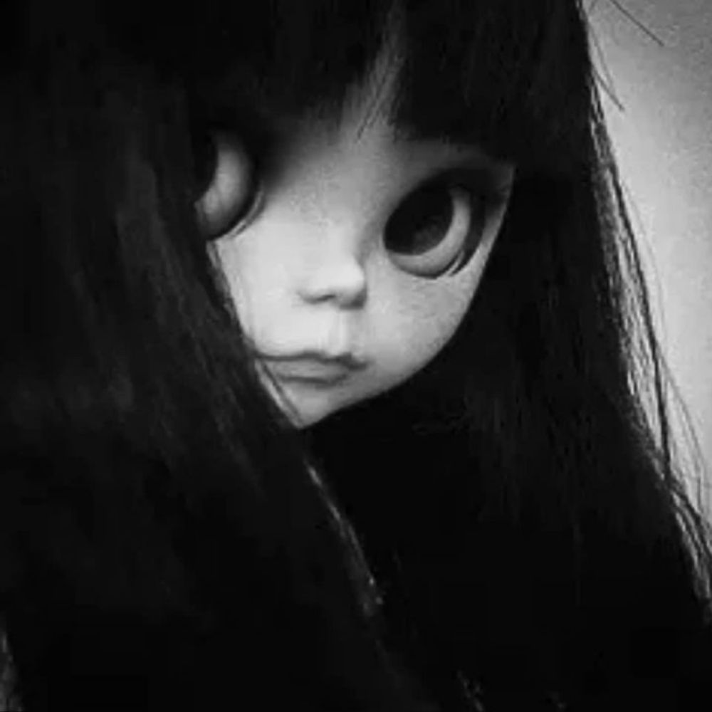 lia 🐈‍⬛