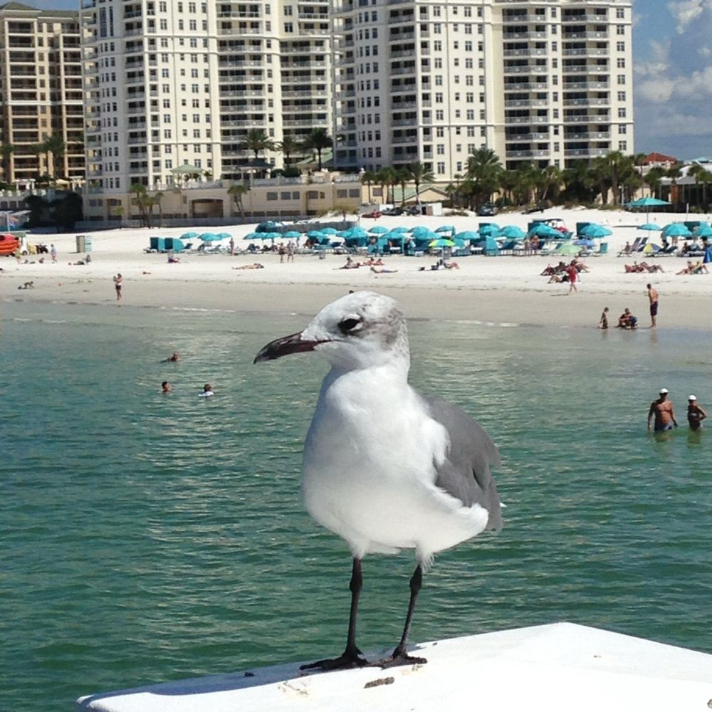 michele-cross15.bsky.social