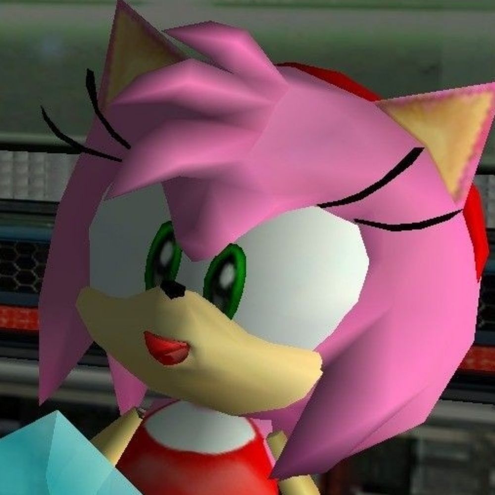Amy rose haters dni
