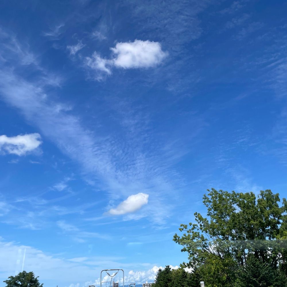 七沢心空