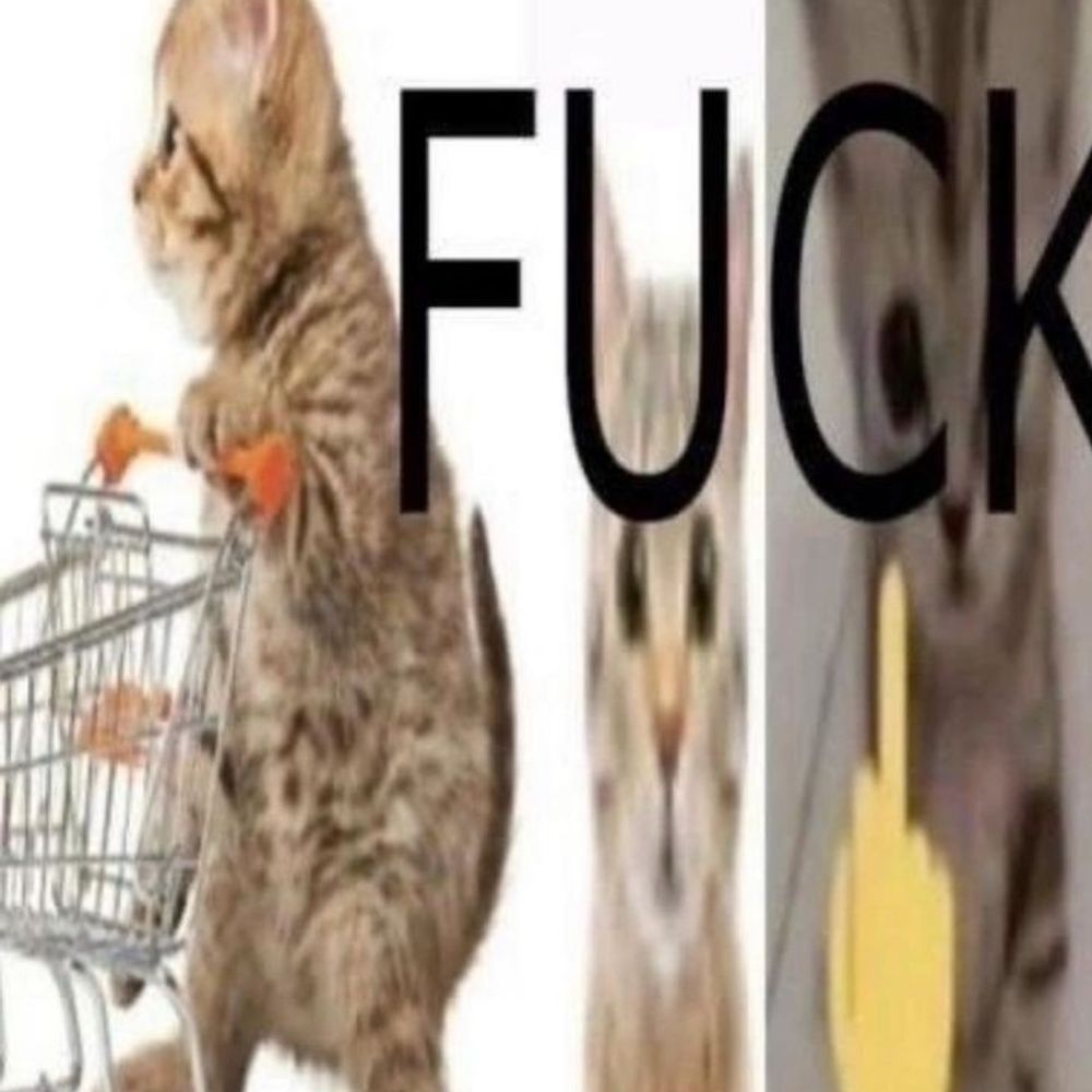 :3 