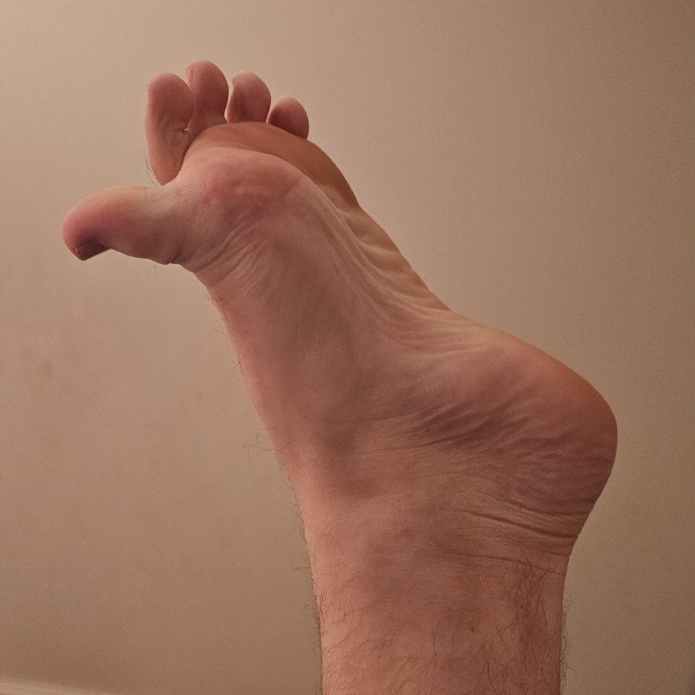 TTRPGAYMER Paws Pups and More