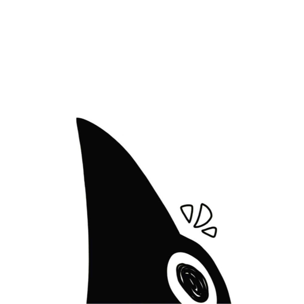 Magpie's Oddities