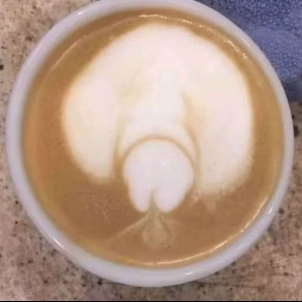 M想脱单的菜