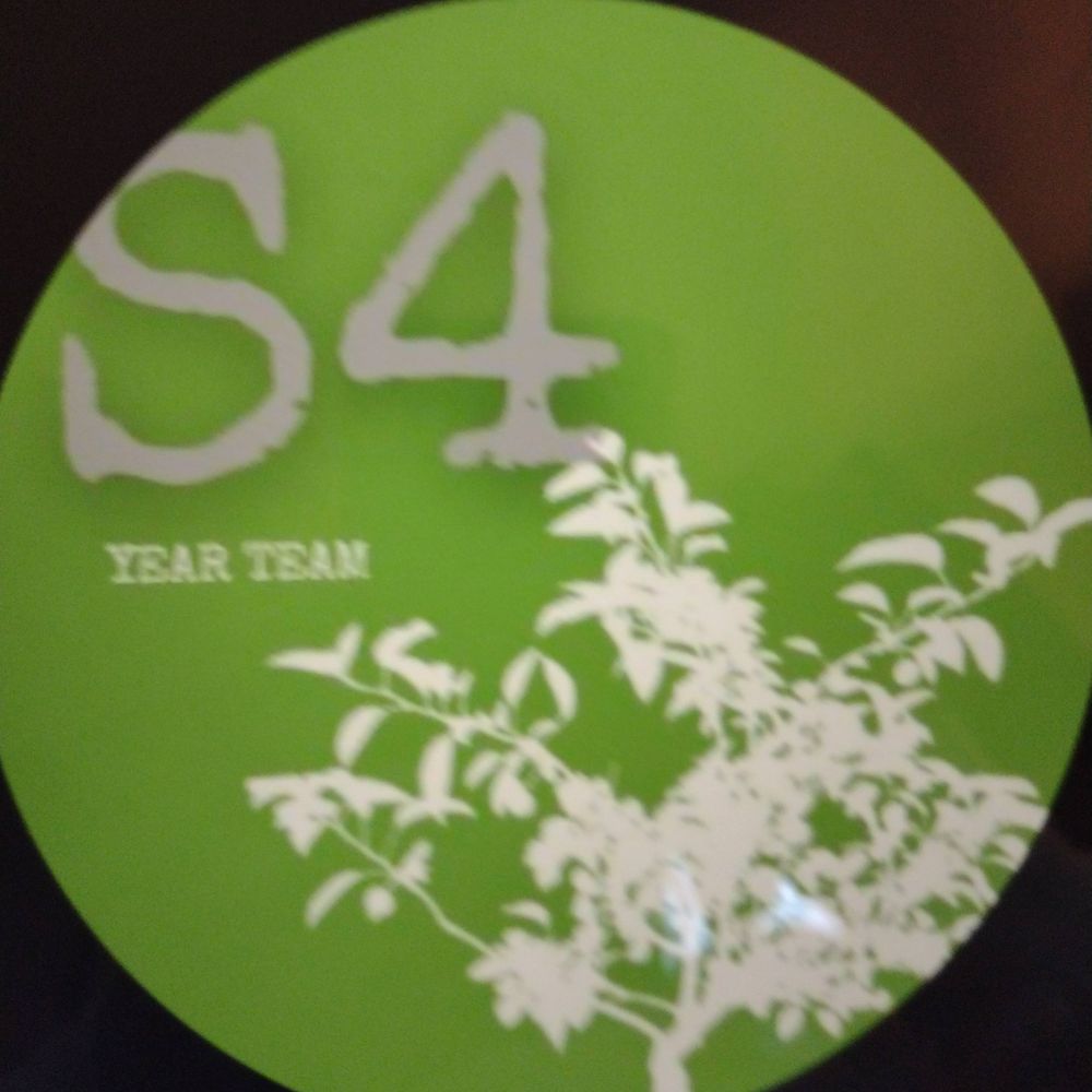 S4 Year Team - Larbert High School