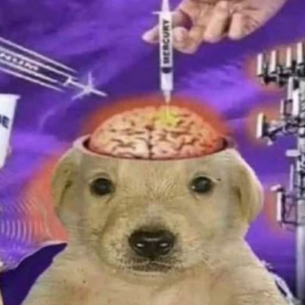 puppybombsquad