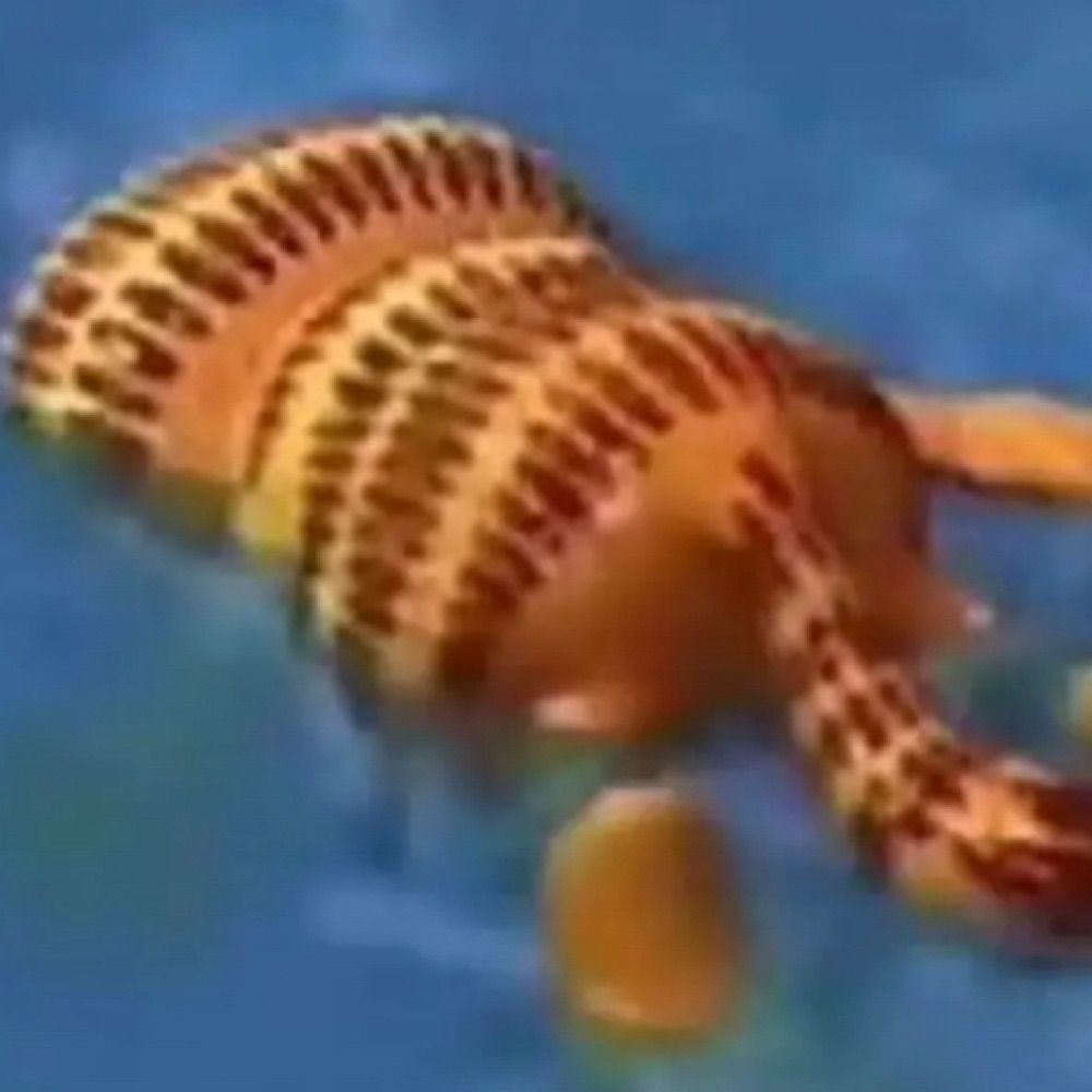 PunkoBoo