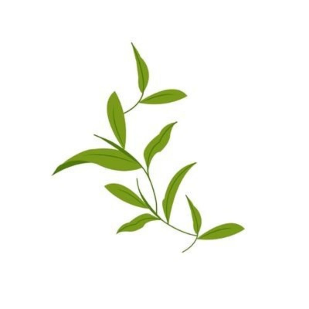 차