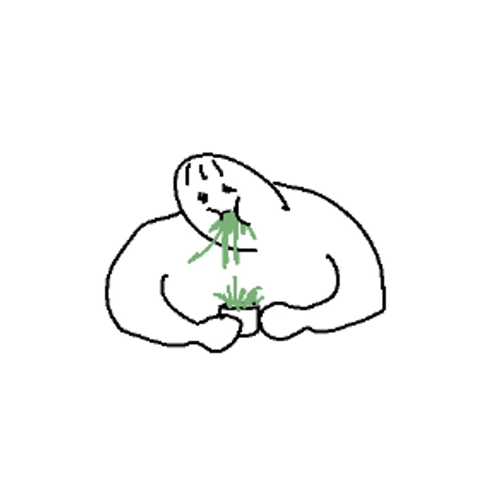 세가닥