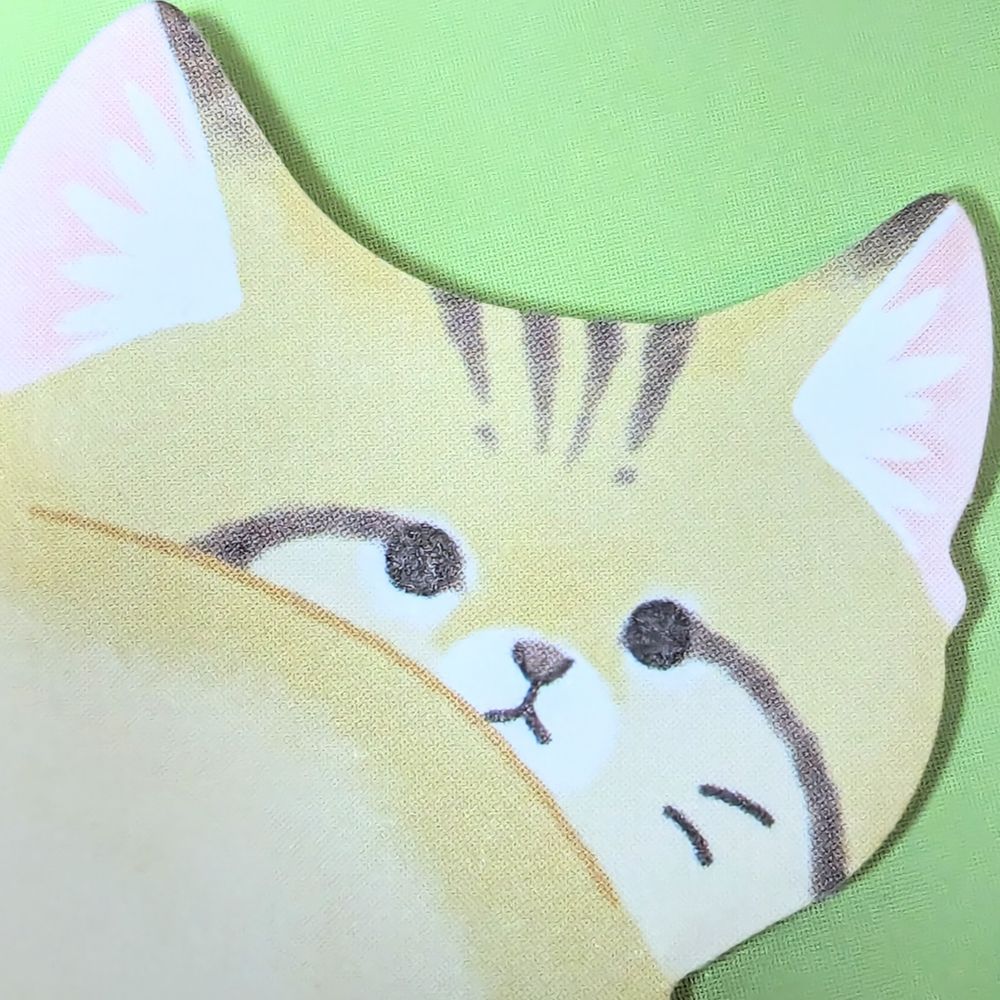 らぴっさん