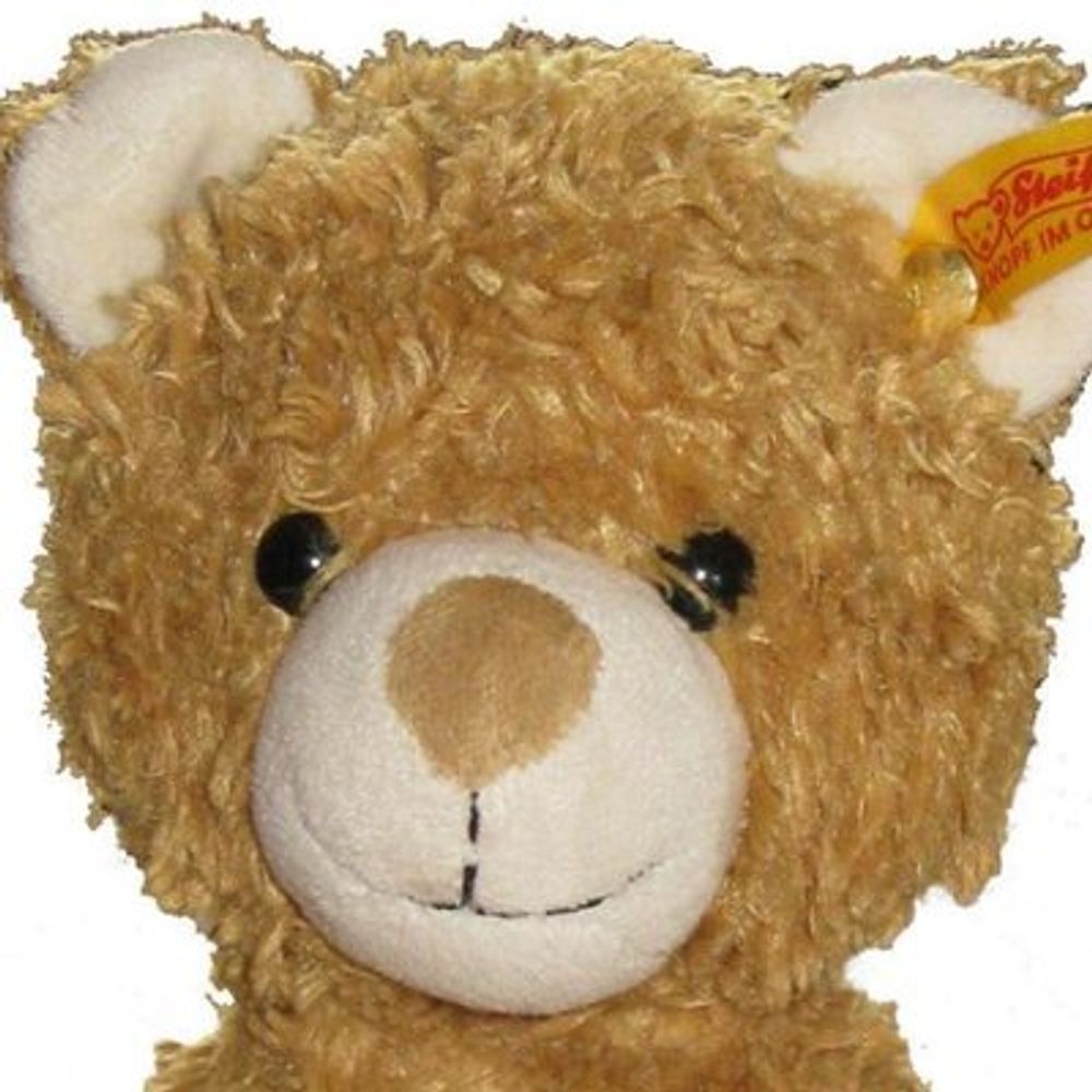 tweetchoir