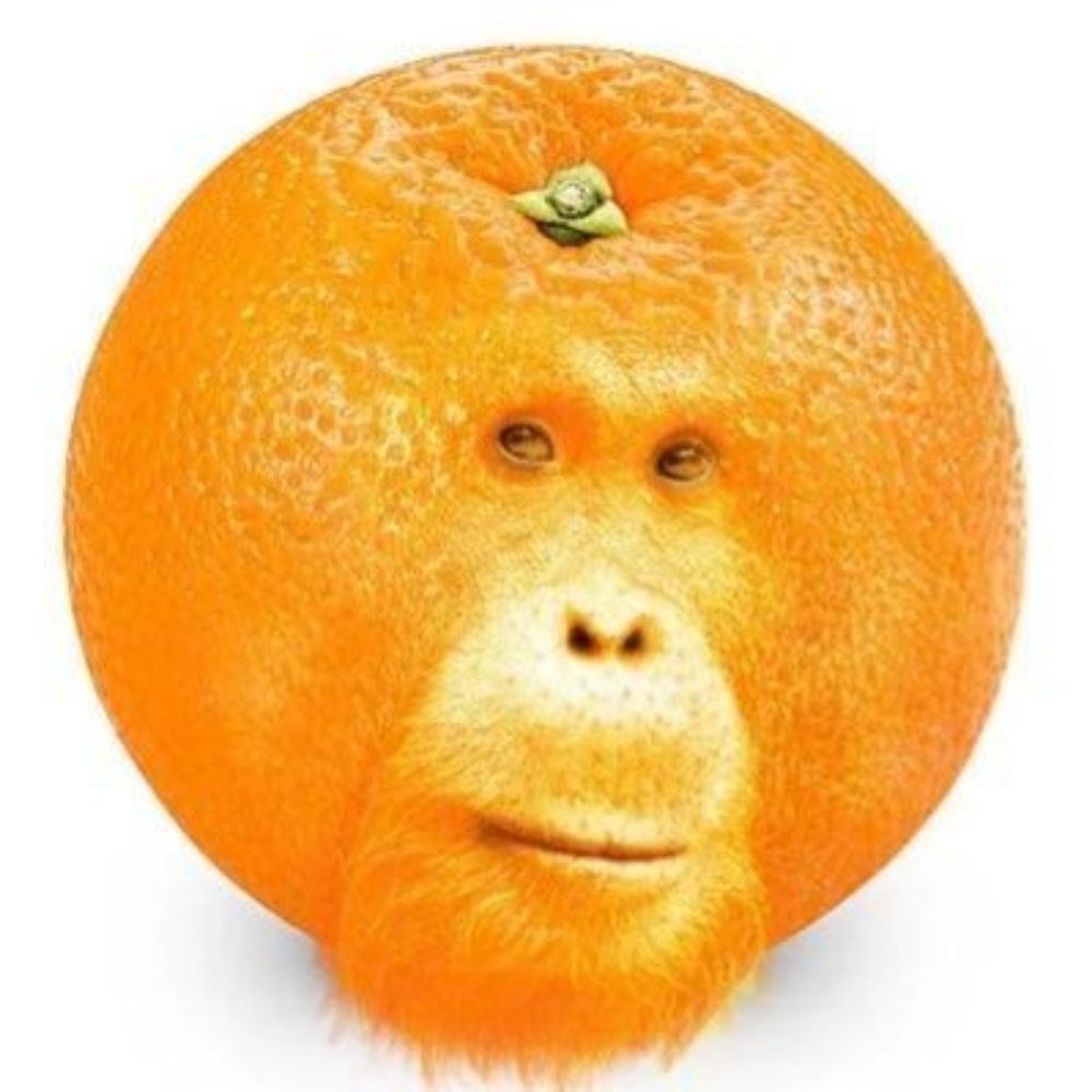bobik