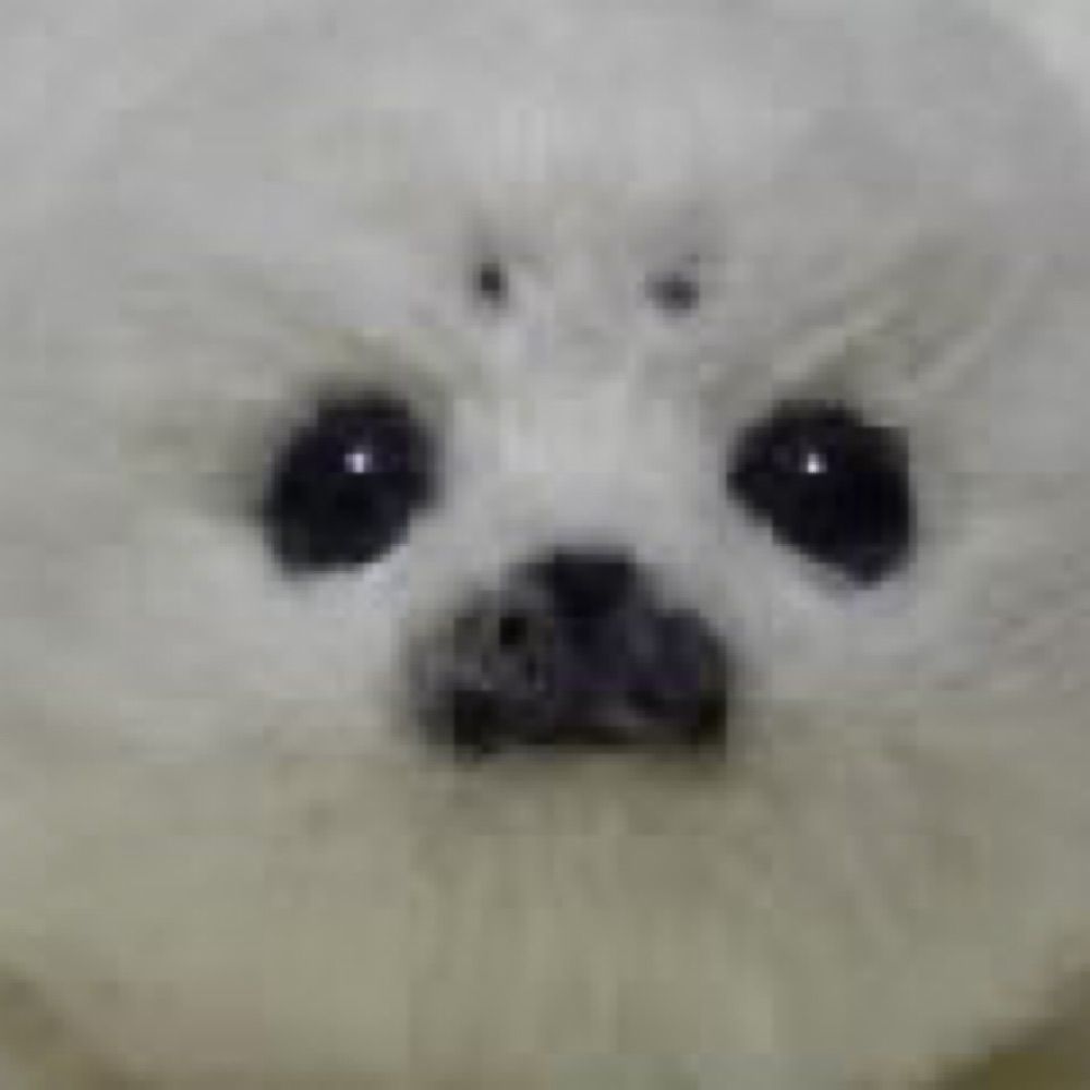 soren