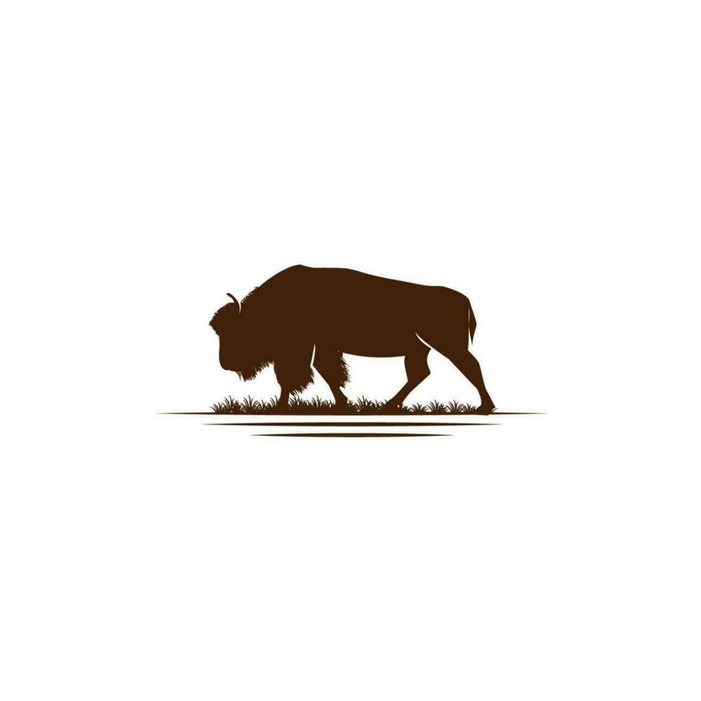 Bison bison's avatar
